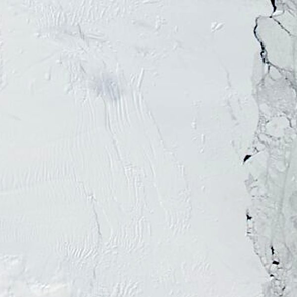 Satellite view of iceberg D37, 30 January 2026