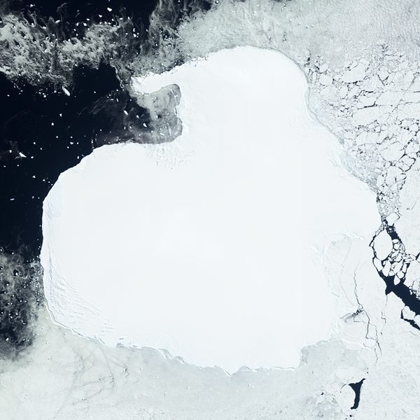 Satellite view of Charcot Island IC