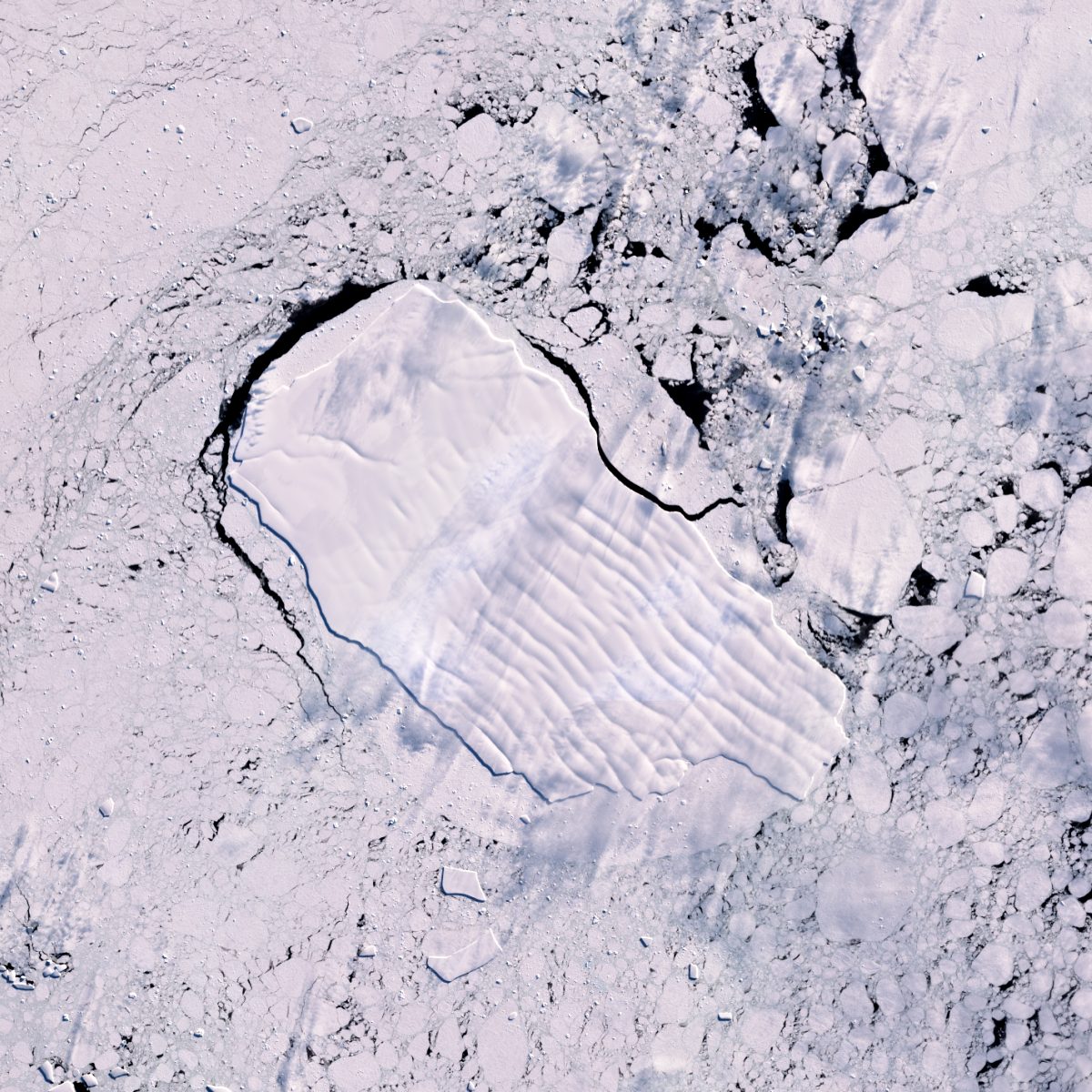Satellite view of iceberg D33A, 29 August 2026
