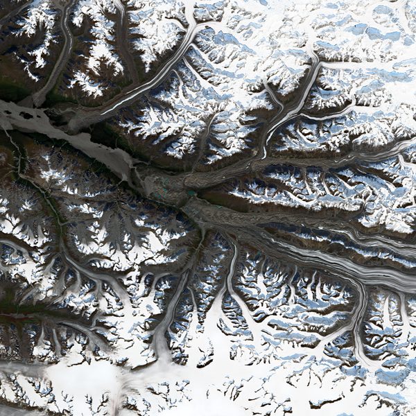 Satellite view of Walsh Glacier
