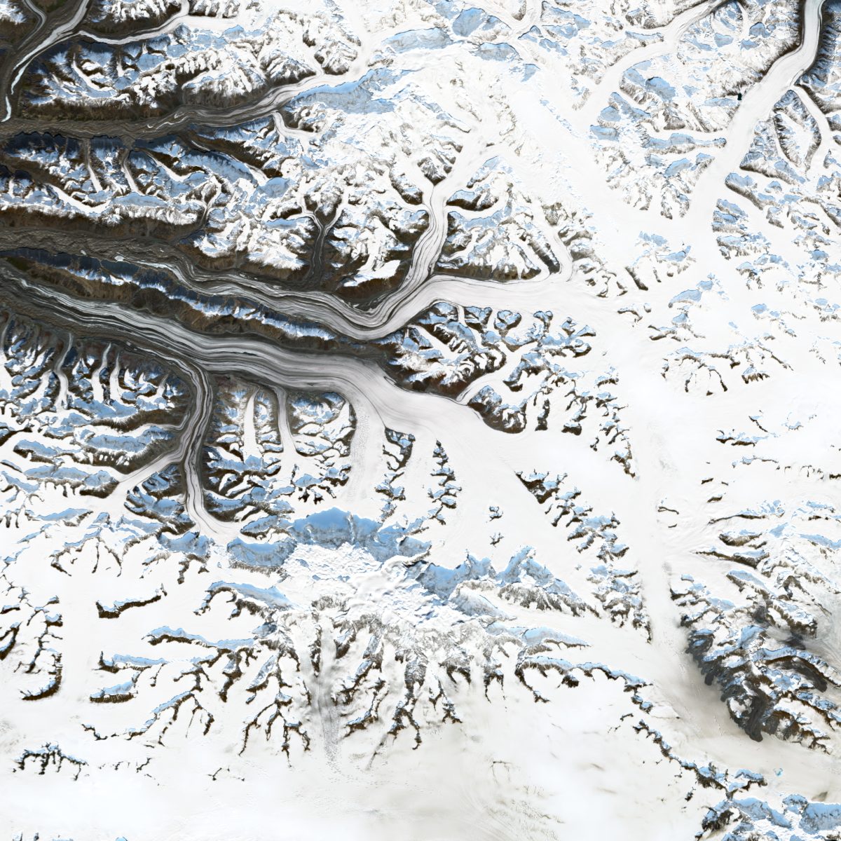 Satellite view of Logan Glacier, 11 September 2026